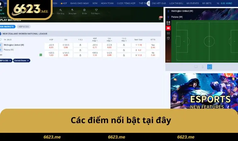 Các điểm nổi bật tại đây