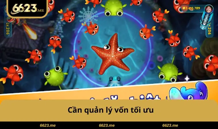 Cần quản lý vốn tối ưu