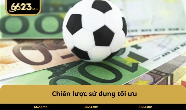 Chiến lược sử dụng tối ưu