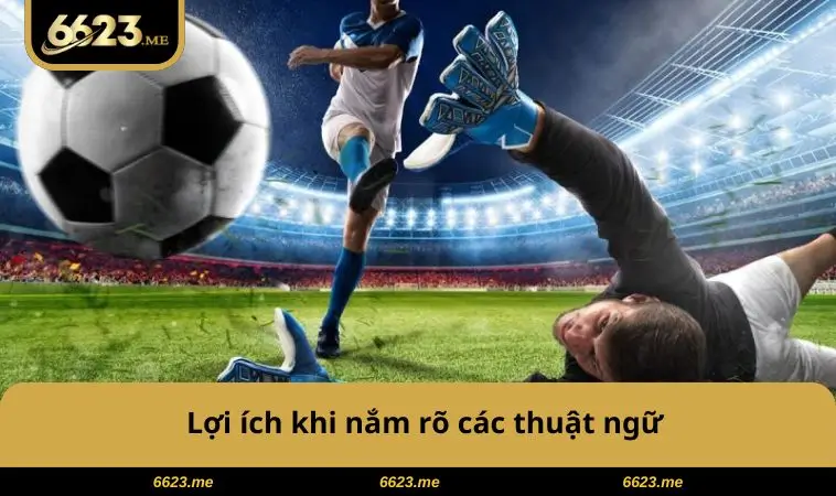 Lợi ích khi nắm thuật ngữ