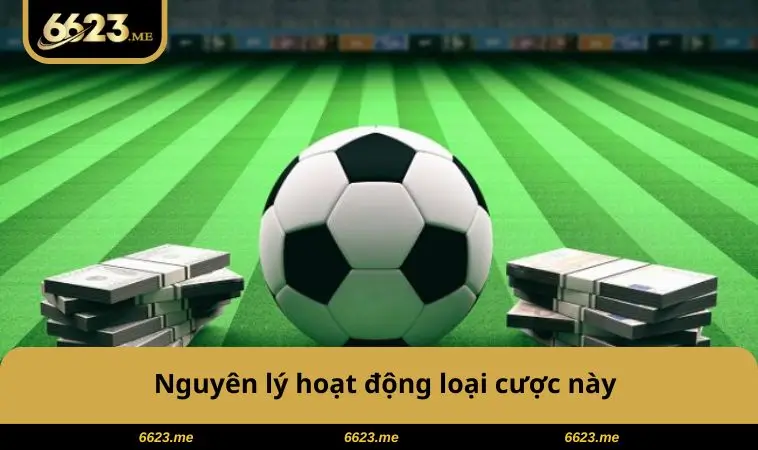 Nguyên lý hoạt động loại cược này