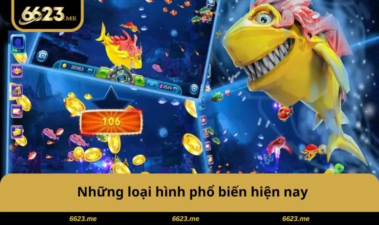 Những loại hình phổ biến hiện nay