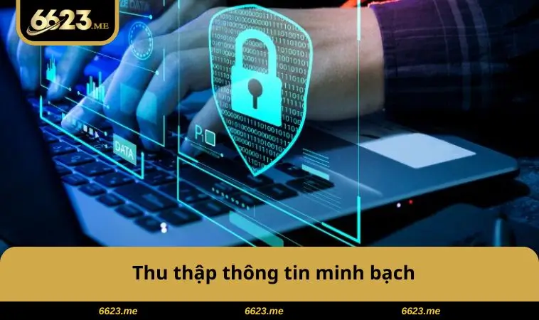 Thu thập thông tin minh bạch
