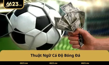 Thuật Ngữ Cá Độ Bóng Đá