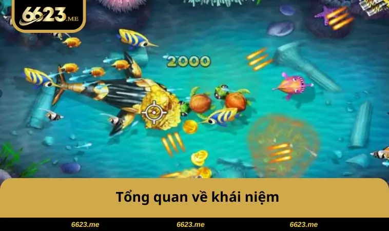 Tổng quan về khái niệm
